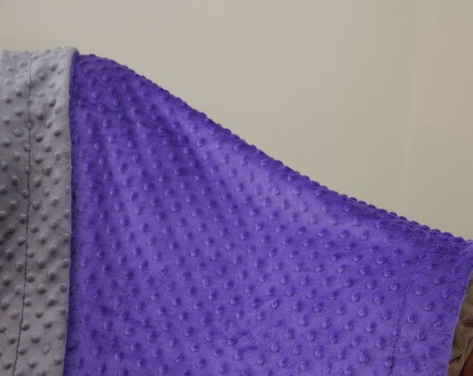 Purple Baby Blanket, Girl Minky Blanket, Infant Blanket, Soft Baby Blanket, Baby Shower Gift, Newborn Blanket Girl, Homecoming Gift