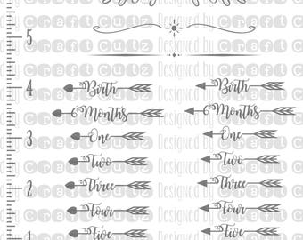 Download Growth chart svg | Etsy