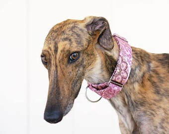 PRINCESS - Special occasions martingale collar, Fancy sighthound collar, Greyhound collar