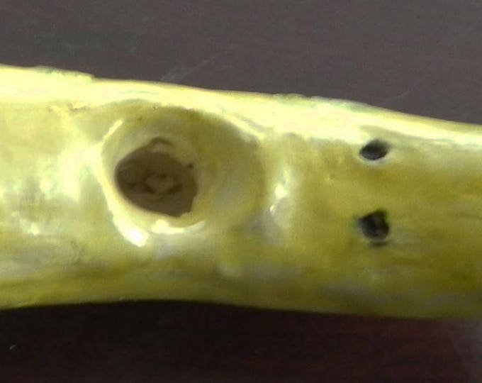 Handmade Ceramic Collective Banana Original One of a Kind Porcelain Pipe 7.5 inches by Gennaro Rango