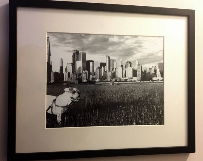 English bulldog, New York City skyline, Framed Art 14x18, Black & White 11x14 photo