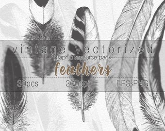 Feathers Clipart Bird Print Illustration Digital Art Graphic Design Resource Vintage Printable Birds Feather Image Clip Art Vector EPS PNG