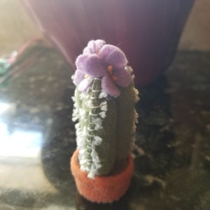 Buyer photo Nicole Parkhurst, who reviewed this item with the Etsy app for Android.