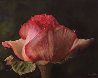 Rose Bud Flower Painting with Dewdrops - Original art