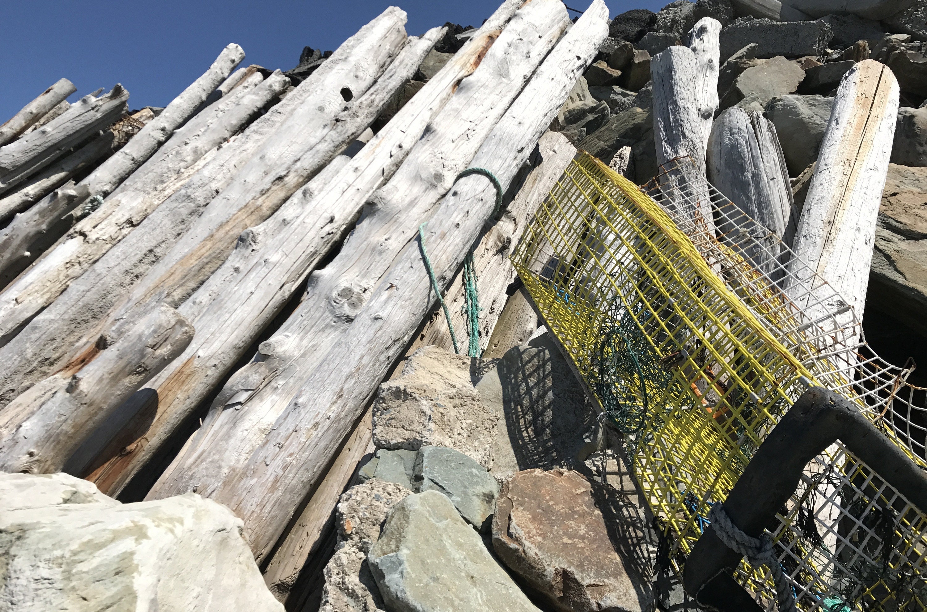 lobster trap meteghan nova scotia