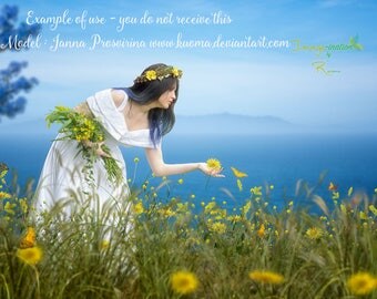 Ocean view yellow flower field PSD |digital background |digital backdrop | overlay |flower field |flower overlay |butterfly overlay | 2 pack