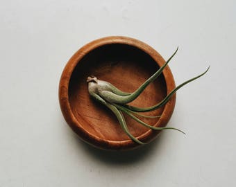 Small Wooden Bowl - Modern Farmhouse Accessory - Trinket Bowl - Minimalist