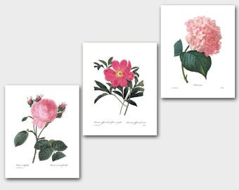 Set of Botanical Prints SALE (Pink Flower Wall Art, Pink Flower Art, Pink Room Decor, Pink Nursery) Redoute Print Set of 3