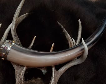 Amethyst Drinking Horn
