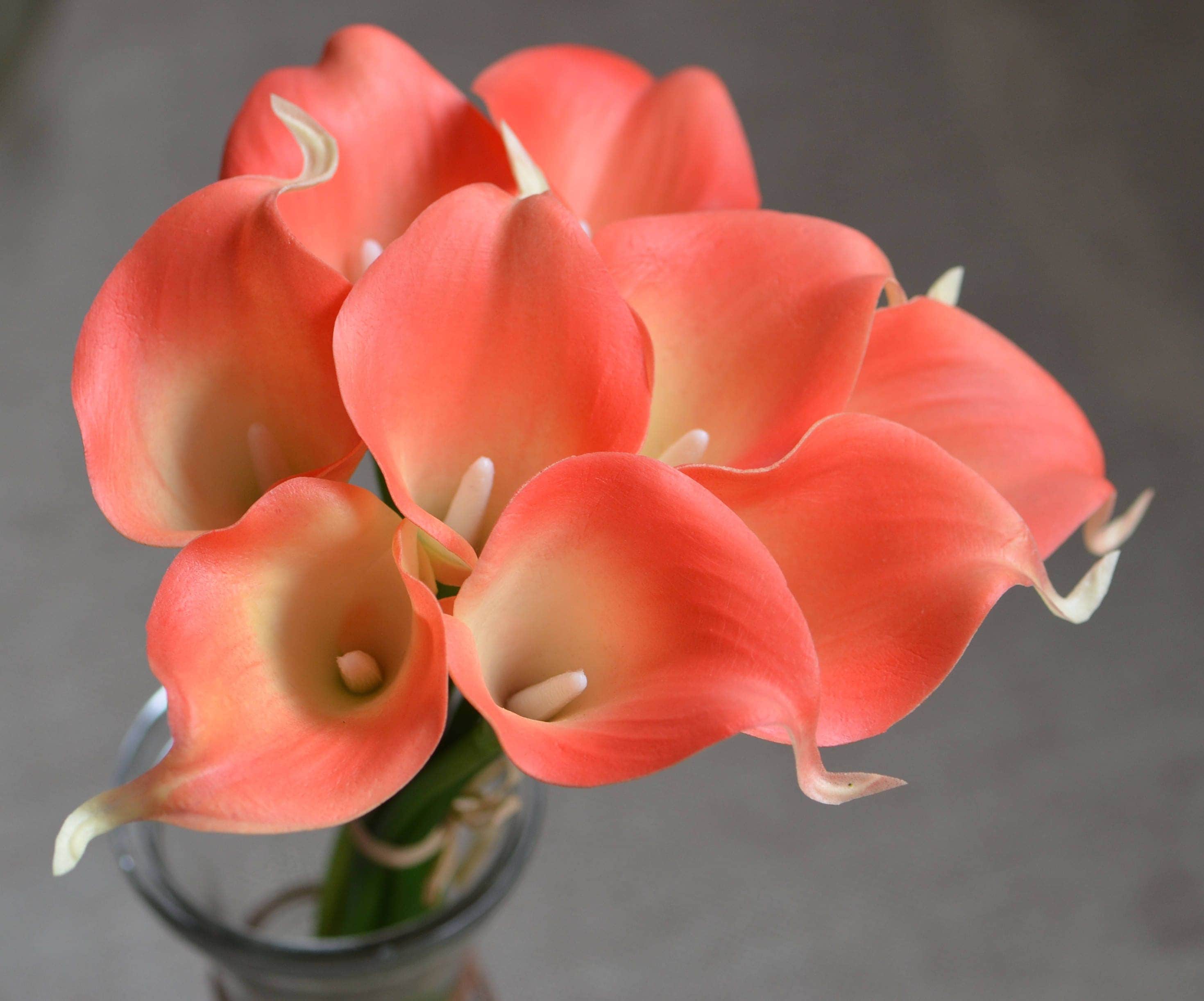 Orange Coral Calla Lilies Stems Real Touch Flowers For Wedding