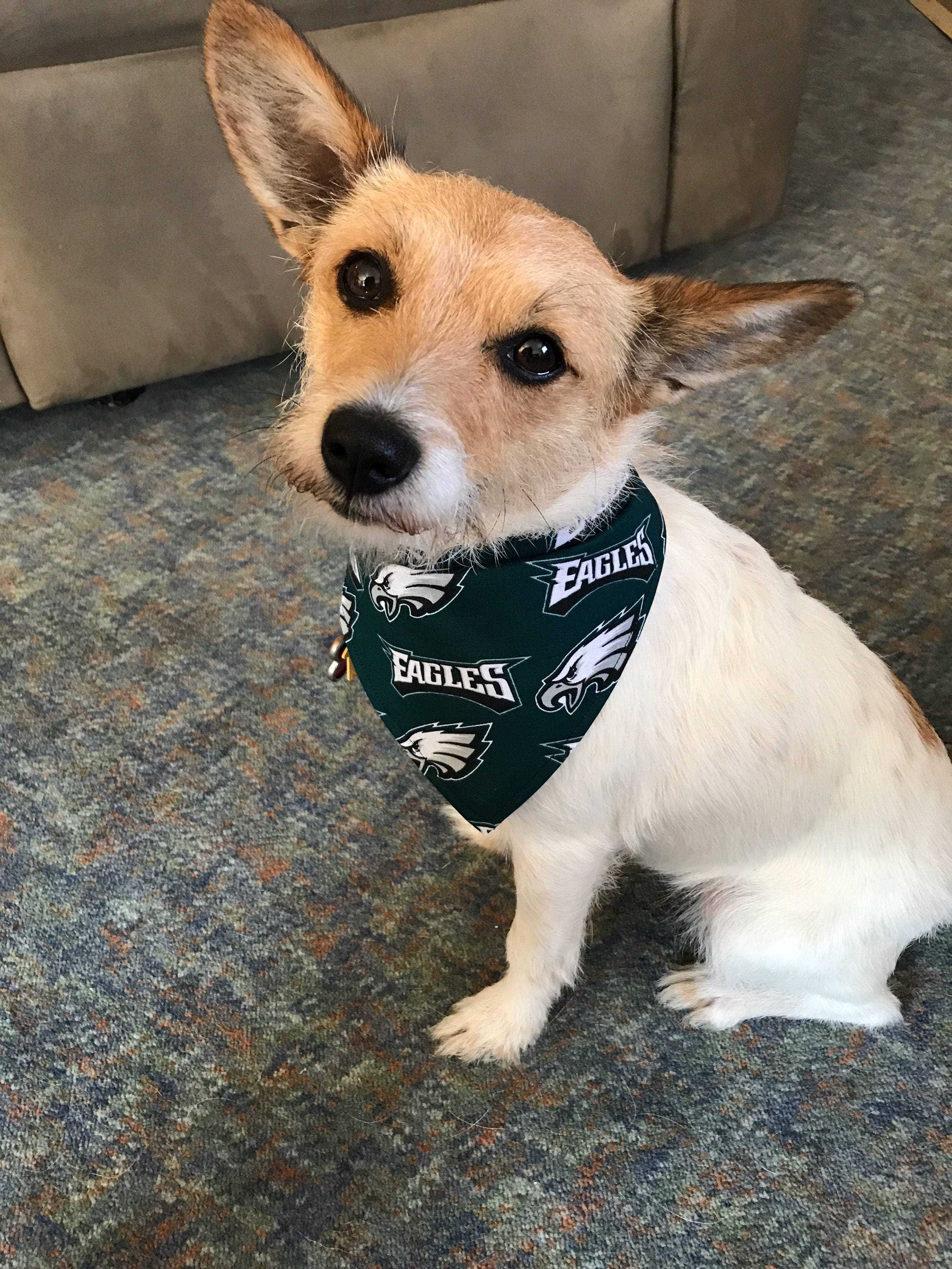 Philadelphia Eagles Dog Bandana