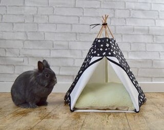 Erba Essiccata Commestibile Kerbl Gineau Pig House Con Rampe Naturale, 37 X 35 X 15 Cm Senza Rampe Rifugio Per Piccoli Animali