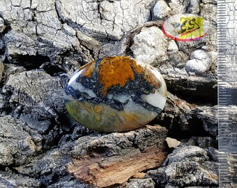 CS0290 - Pietersite Cabochon