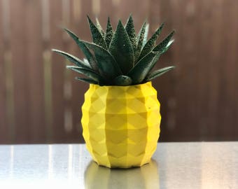 Pineapple Succulent Planter 3D Printed, Modern Pot, Geometric Planter, Pineapple Decor, Air Planter Hawaii, Succulent Pot, Pineapple Planter