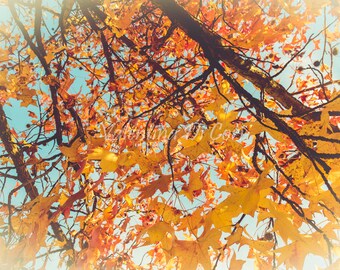 Italian garden, Italy, shabby chic furniture, shabby chic, vintage, rustic House, tree, red leaves, wall art, gift,