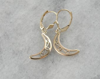Yellow Gold Crescent Moon Drop Earrings with Lever Backs ZWQEFU-N
