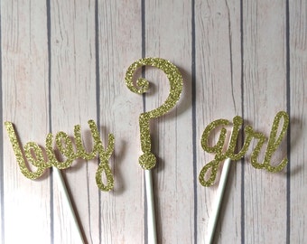 Boy Girl Cupcake Toppers, Gender Reveal Cupcake Topper, Baby Cupcake Topper, Baby Shower Cupcake Toppers, Gender Reveal, Team Boy, Team Girl