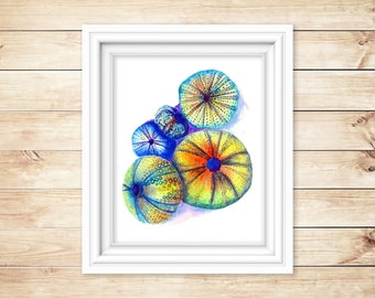 Sea Urchins #1 Watercolor Print