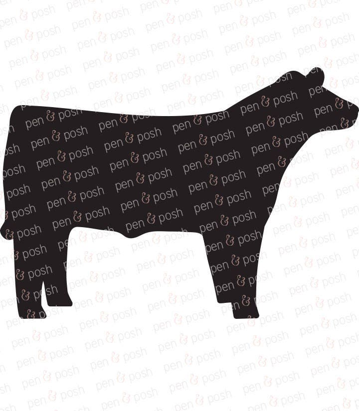 Show Steer SVG Show Cattle SVG Steer Clipart 4H Market