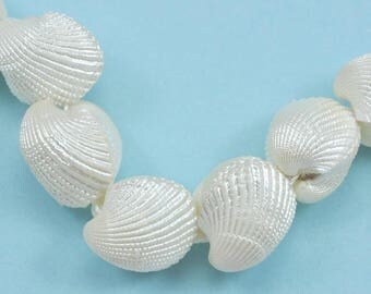 Natual Whole Clam Shell Clamshell Beads for Jewellery Making