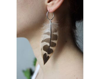 Feather Earrings, Feather, Hoop Earrings, Real Feather Earrings, Natural Feather, Boho, Bohemian Style, Festival, Jewellery, Maculate, Gift