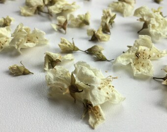 Dried Jasmine Flowers, Wiccan Pagan Witchcraft Herbs, Magickal Occult Altar Supply, Incense Love Herb, Candle Soap Making, FREE SHIPPING!!!