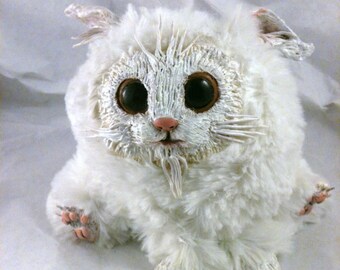 P'titeChose fluffy white cat.