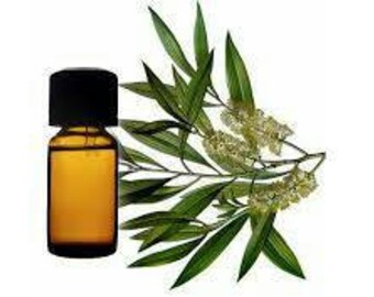 Penis Growth Oil Gain 2-6 inches Male Enlargement Enhancement Entengo Mulondo Organic Essential Sex Oil Guaranteed Growth Results! 15ml