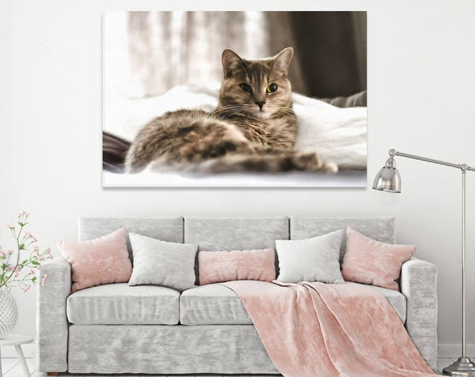 Unique Cat, Сute cat canvas, Pet, Art cat, canvas, Interior decor, room design, print poster, art picture, gift