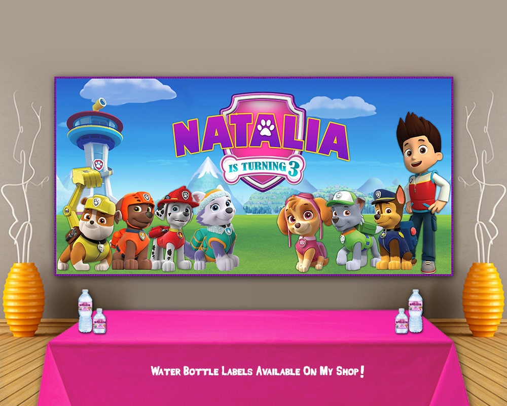 PAW Patrol Backdrop Ideas