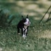 Brandy Hopkins Photography