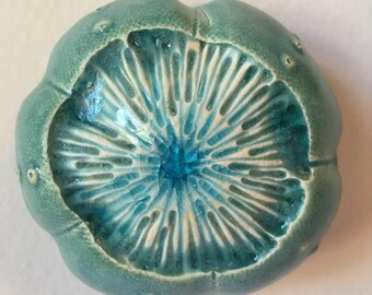 One Turquoise Ceramic Sea Urchin Pod Wall Art 7