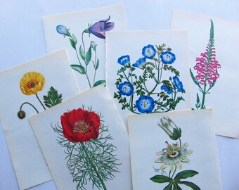 Vintage botanical | Etsy