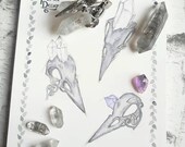 Preorder Bird Skull with Smokey Quarts Crystal