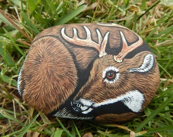 Whitetail Deer Painting, Buck Deer Painted Rock, Whitetail Deer Painted Rock Art