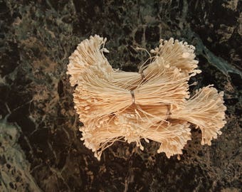 5 Bunches of Vintage Millinery Stamens