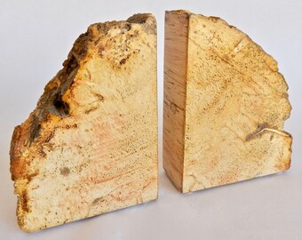 Golden Petrified Wood Bookends (AZ141)