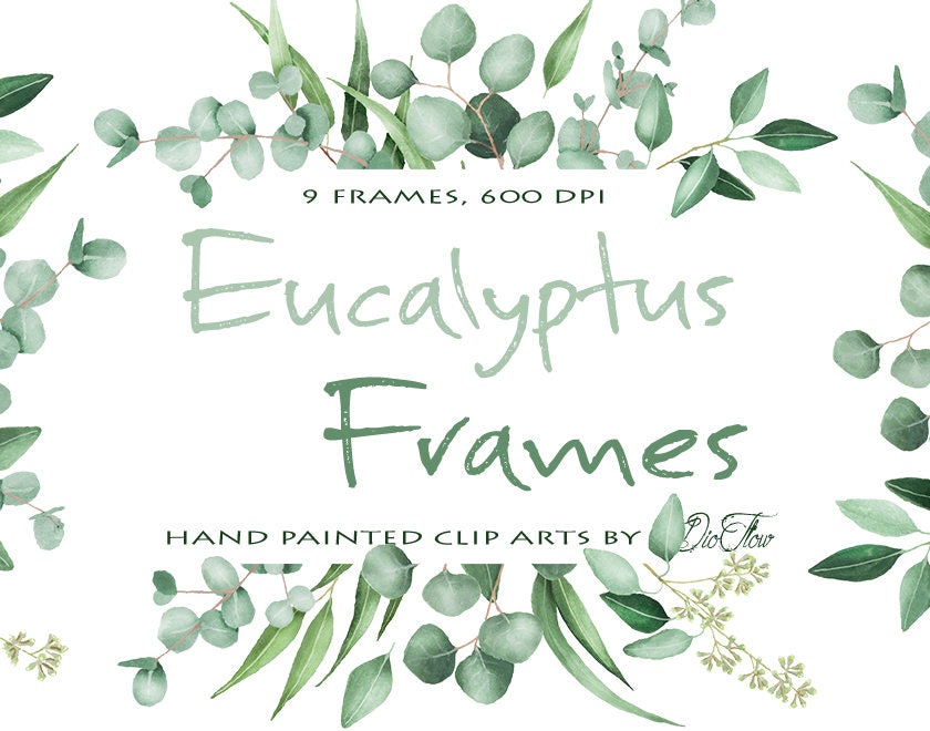 Download Watercolor Eucalyptus Clipart Frame Greenery Frames Clip Art