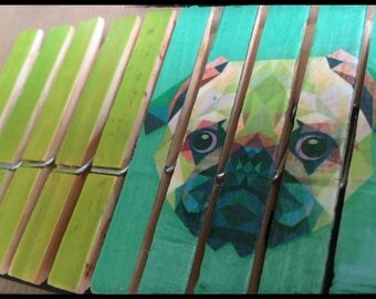 Set of 10 clothespins fantasy, standard size (Bulldog REF.)