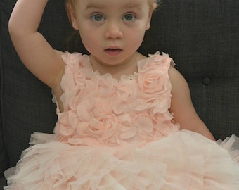 Beautiful Blush flower girl dress, tutu dress, pink dress, first birthday dress, stunning dress, daughter of the bride dress
