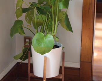 Solid Walnut Planter Stand with Brass Dowel Detail - Ceramic Planter included in Gloss White or Matte Black - Mid-Century Modern - Red Oak