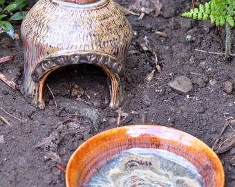 Toad abode with pool, Toad House,Toad hut, Toad's Place, Toad pool, Shade garden, Garden Art, Toad Party, fairy house