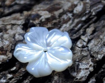 Shell flowers | Etsy