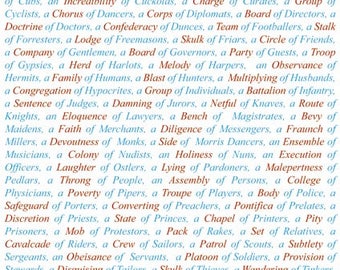 Giftwrap / Poster Print - Collective Nouns For People - 700 x 500mm