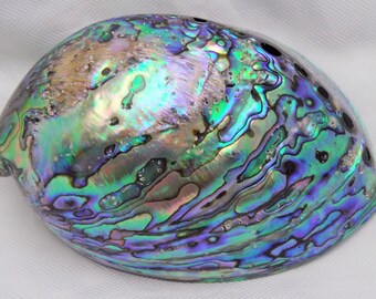 Large Natural Rainbow Shiny Both Side Polished Paua Abalone Shell New Zealand Mineral Seashell