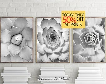 Black and White Prints, Triptych Prints, Set of 3 Prints, Cactus Cacti Prints, Cactus Photo, Coastal Wall Art, Modern Mexican Print