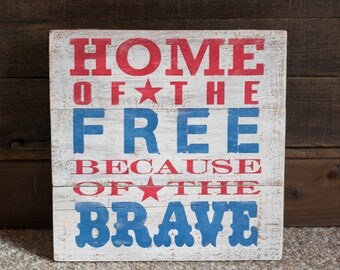 home of the free because of the brave firework