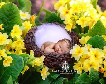Floral Newborn Digital background/backdrop nest. Newborn overlay with yellow flowers. Digital flowers backdrop for baby girls. JPEG file