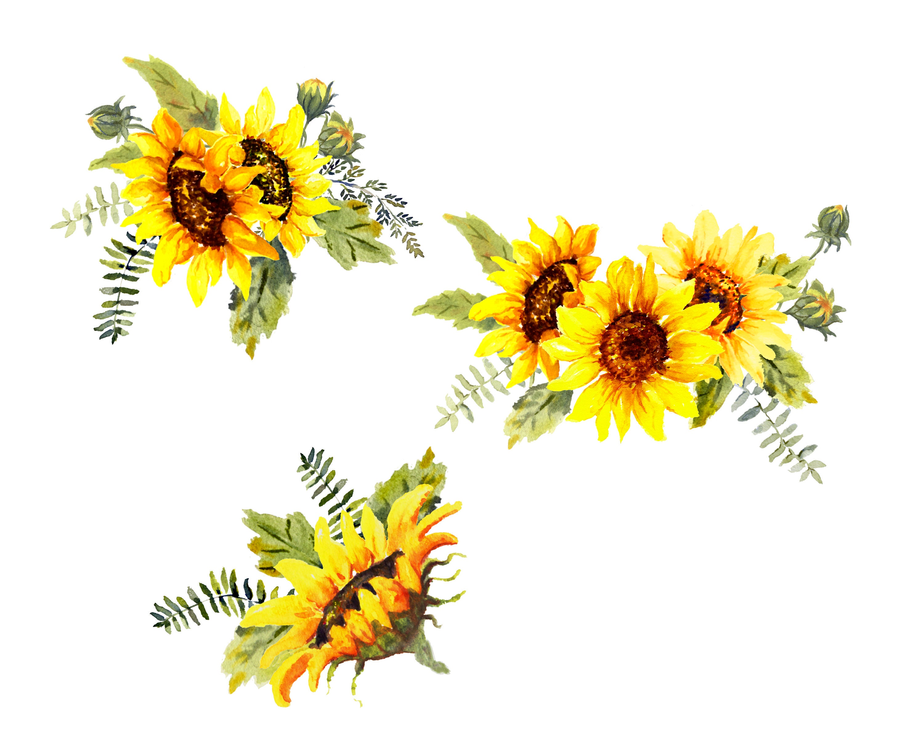 Download Sunshine and Sunflowers, Watercolor Sunflowers Floral Clip ...