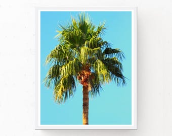 Tropical palm trees | Etsy